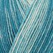 Пряжа Silk Color REGIA SilkC-65_синьо_зелений фото 2