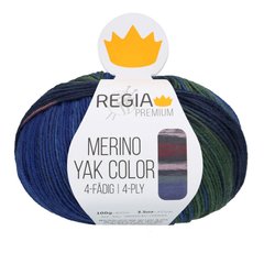 Пряжа Merino Yak Color REGIA Premium YakC фото