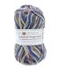 Пряжа SockWool Multi/Сокс Вул Мульти, Performance Сокс_вул-3_1 фото