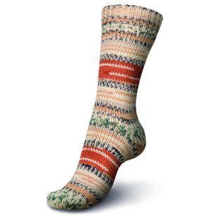 Пряжа Nordic Winter Color 8-Ply 304-3047 фото
