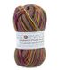 Пряжа SockWool Multi/Сокс Вул Мульти, Performance Сокс_вул-061 фото