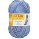 Пряжа Color Cool Style 6-Ply 293-2931 фото 2