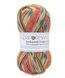 Пряжа SockWool Multi/Сокс Вул Мульти, Performance Сокс_вул-5 фото