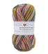 Пряжа SockWool Multi/Сокс Вул Мульти, Performance Сокс_вул-1_1 фото